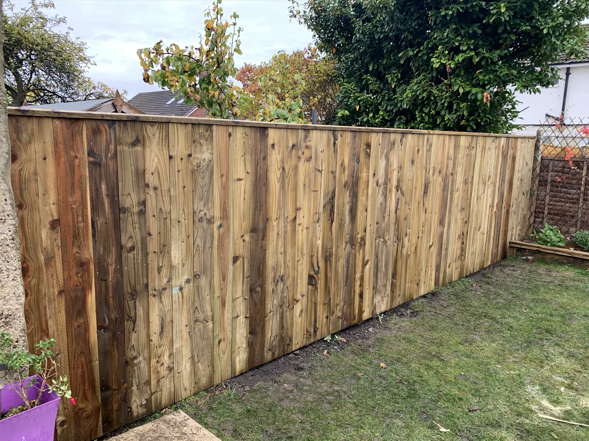 Finished close-board timber fence